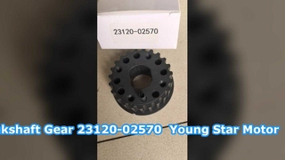 Vitesse de courroie de pignon de vilebrequin de Hyundai Getz 23120-02570 YOUNG STAR MOTOR