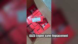 ISUZU 6BG1 6BD1 Engine Valve 0114 0279 Replacement